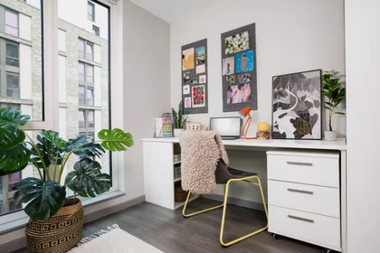 Privatzimmer im Wohnheim in der 279 Holloway Rd, London N7 8FB, UK, bild 21 von 24