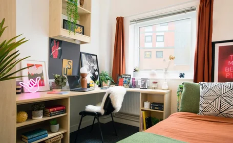 私人房间 在住宅内 在 Aston St, Birmingham B4 7UJ, United Kingdom, 17的图像11