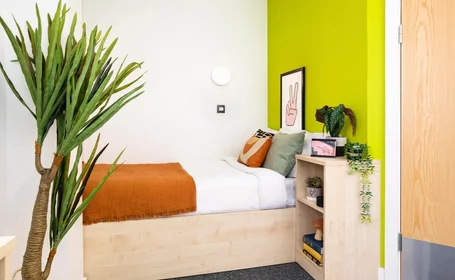 私人房间 在住宅内 在 Aston St, Birmingham B4 7UJ, United Kingdom, 17的图像12
