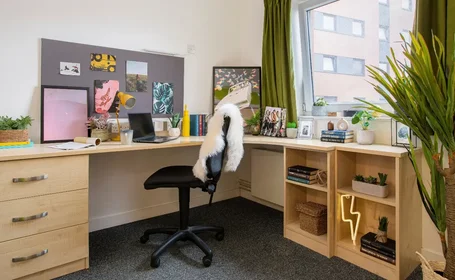 私人房间 在住宅内 在 Aston St, Birmingham B4 7UJ, United Kingdom, 17的图像13