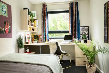 Privatzimmer im Wohnheim in der RAHERE COURT, Toby Ln, London E1 4DW, United Kingdom, bild 19 von 20
