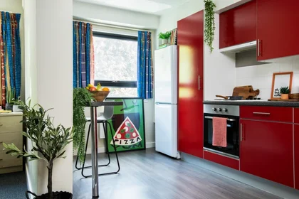 Privatzimmer im Wohnheim in der RAHERE COURT, Toby Ln, London E1 4DW, United Kingdom, bild 7 von 20