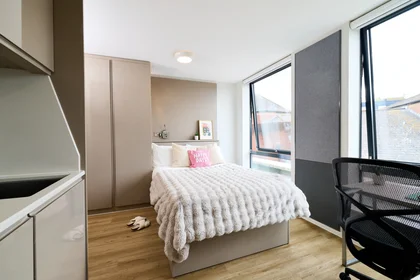 Studio in residence at Vita Student, PORTLAND HOUSE, Longbrook St, Exeter EX4 6AH, United Kingdom            , image 6 of 20