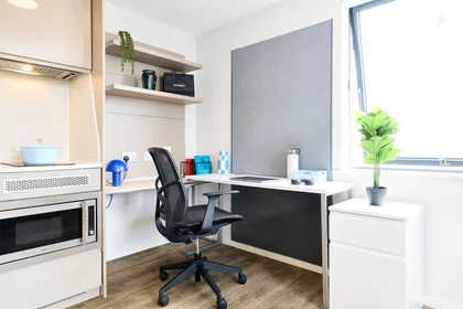 Studio in residence at Vita Student, PORTLAND HOUSE, Longbrook St, Exeter EX4 6AH, United Kingdom            , image 5 of 20