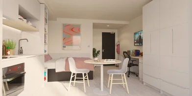 Appartamento intero in residence in Vita Student New Waverley, No 14 Sibbald Walk, Edinburgh, EH8 8GG, immagine 14 di 24