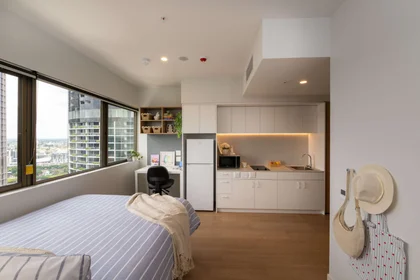 整租 在住宅内 在 41 George St, Brisbane City QLD 4000, Australia, 36的图像36