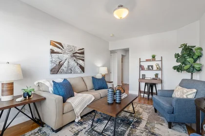 整租 在住宅内 在 2003, Commonwealth Ave., Unit 11, Brighton, Boston, MA, 02135, 16的图像13