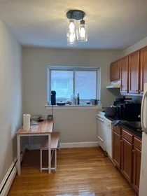 Gesamte Unterkunft im Wohnheim in der 69, Chiswick Rd., Unit 6, Brighton, Boston, MA, 02135, bild 17 von 20