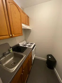 Studio at 38, Hemenway St., Unit 35, Fenway, Boston, MA, 02115, image 1 of 7