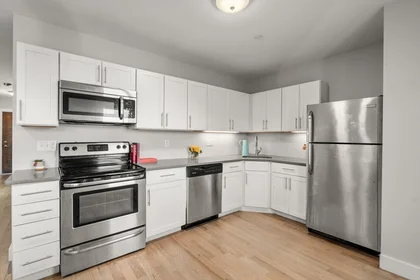 Logement entier en résidence à 2, Humboldt Pl., Unit 6, South Boston, Boston, MA, 02127, image 6 de 6