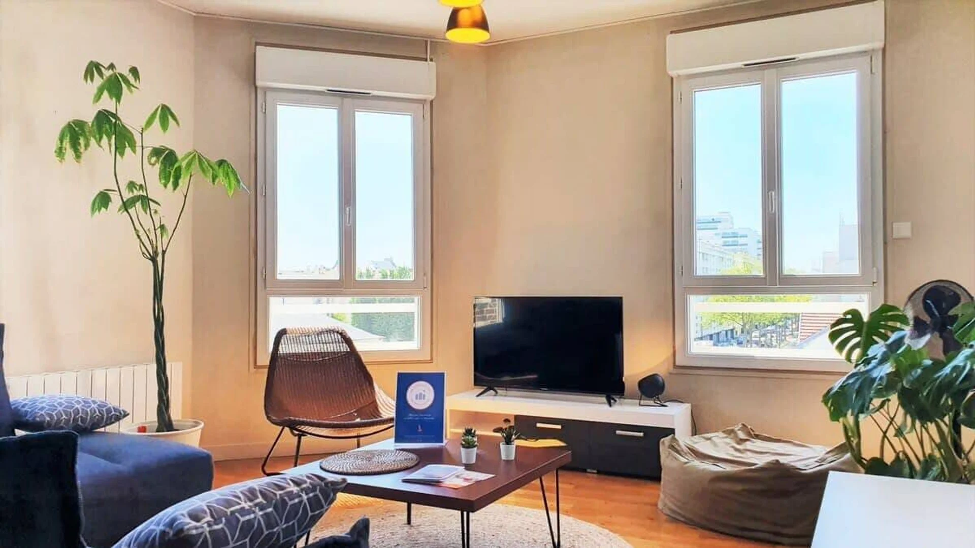 Cozy room for students available in 