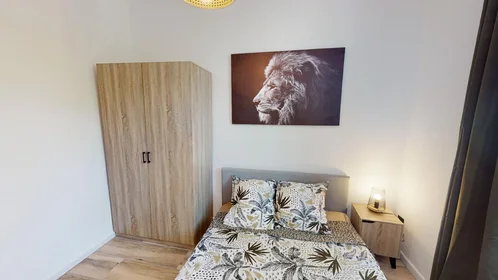 Stanza privata in 31 Allée Léon Gambetta, immagine 1 di 10
