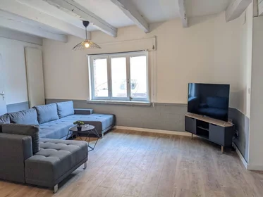 Chambre privée à Roubaix, 59100, image 1 de 28