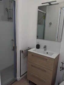Chambre privée à Roubaix, 59100, image 19 de 28