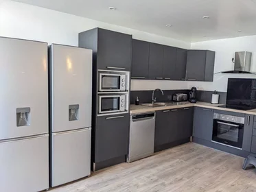 Chambre privée à Roubaix, 59100, image 3 de 28