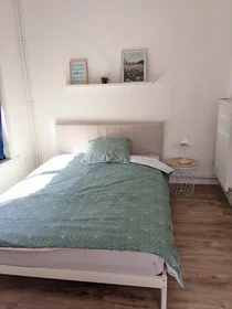 Chambre privée à Roubaix, 59100, image 4 de 28