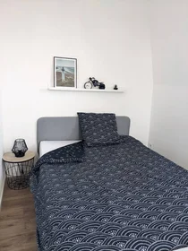Chambre privée à Roubaix, 59100, image 10 de 28