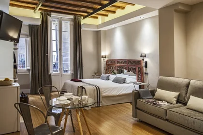 整套公寓 在 Carrer de Sant Pere Més Baix 54, 18的图像10