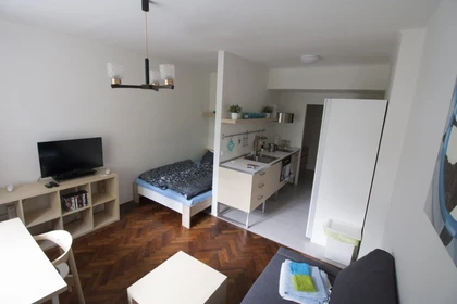 Appartement entièrement meublé à Brno
