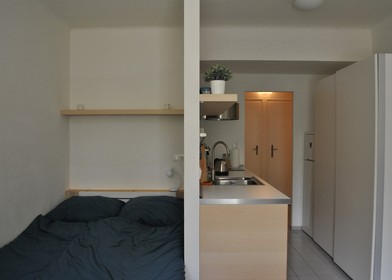 Appartamento con 2 camere da letto a Brno