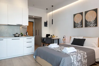 Appartamento intero in Michail Archaggelou 25, immagine 33 di 47