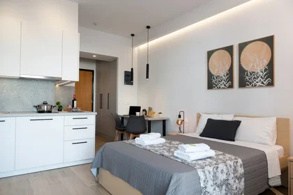 Appartamento intero in Michail Archaggelou 25, immagine 34 di 47