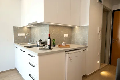 Appartamento intero in Michail Archaggelou 25, immagine 37 di 47