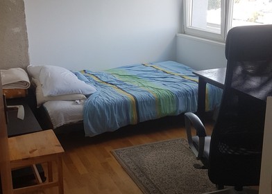 Alquiler de habitación en piso compartido en Zagreb
