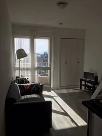 Chambre à louer dans un appartement en colocation à Pau