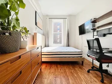 Entire place in residence at 325 Putnam Ave, 2L, Brooklyn NY, 11216, 2L, Bedford-Stuyvesant, New York, NY, 11216 , image 4 of 9