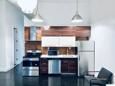 Entire place in residence at 105 weirfield Street,  3FL, Bushwick, Brooklyn, NY, 11221, image 11 of 12