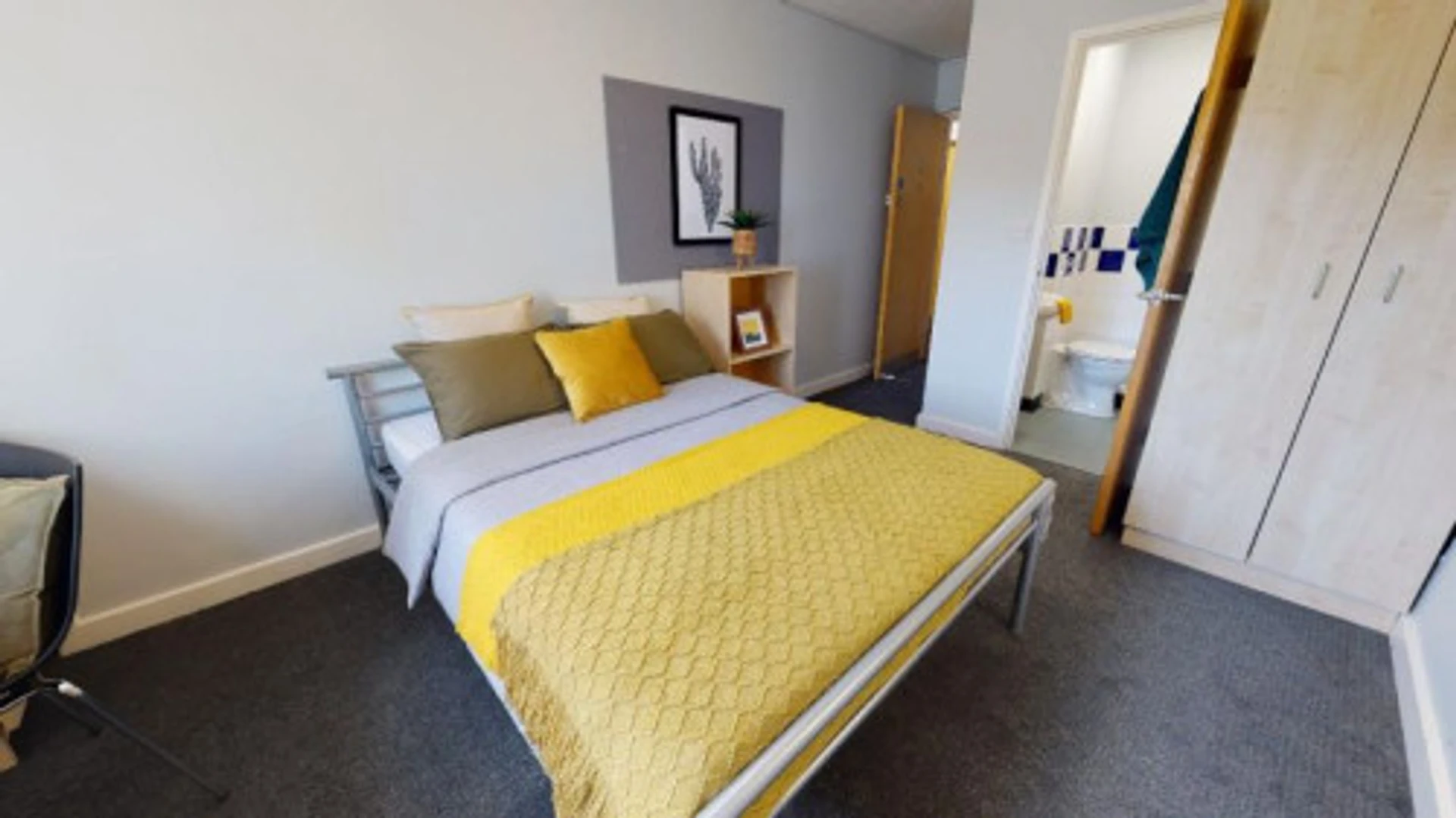 Affordable room for students with ample lighting in 