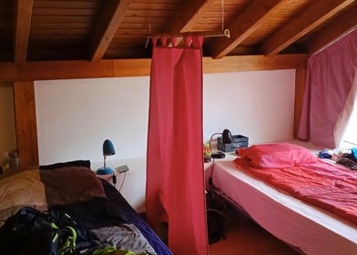 Shared room in 3-bedroom flat Ponta Delgada