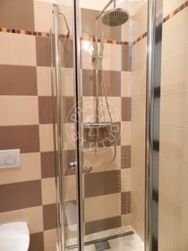 Logement entier à Avenue des Champs-Élysées, image 19 de 21
