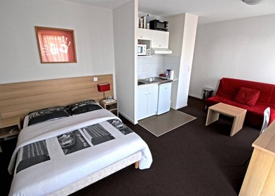 Chambre à louer dans un appartement en colocation à Troyes