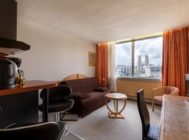 Habitación privada en residencia en Nancy, 54000, imagen 10 de 11