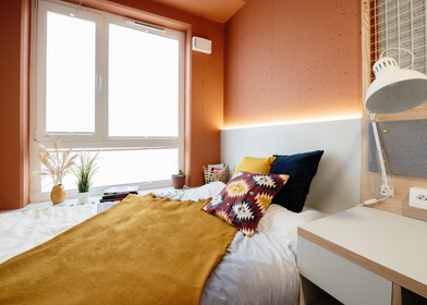 Habitación en alquiler con cama doble krakow