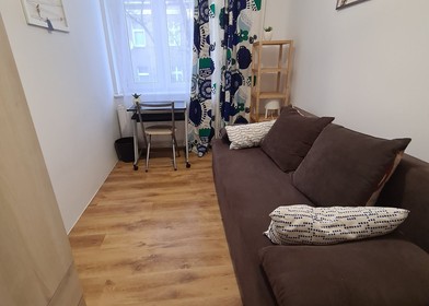 Alquiler de habitación en piso compartido en poznan