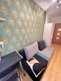 Chambre à louer dans un appartement en colocation à Poznan