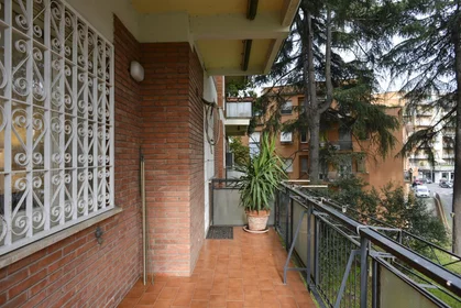 Privatzimmer in der Via Federico Millosevich, bild 1 von 28