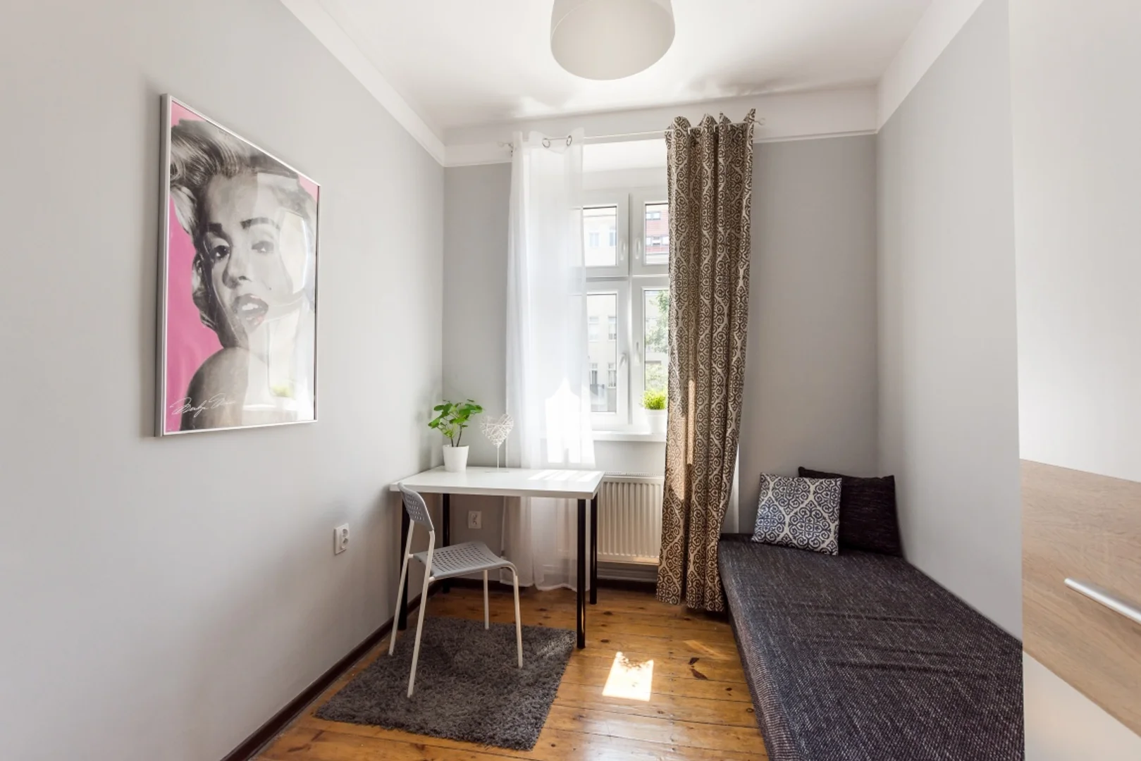 经济实惠的学生房间，在有充足的照明