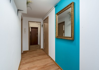 Cheap shared room in Poznań