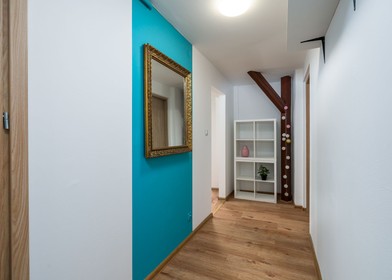 3 yatak odalı dairede ortak oda Poznań