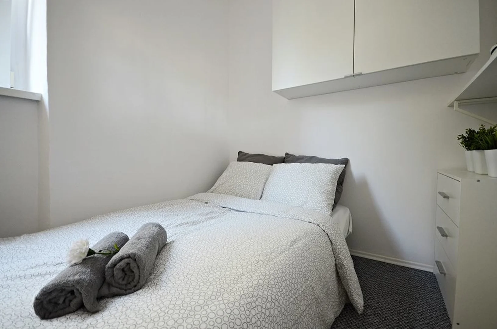 Chambre d'étudiant bon marché à proximité du campus dans 