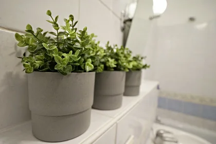 Privatzimmer in der Stefana Żeromskiego 28, bild 13 von 20