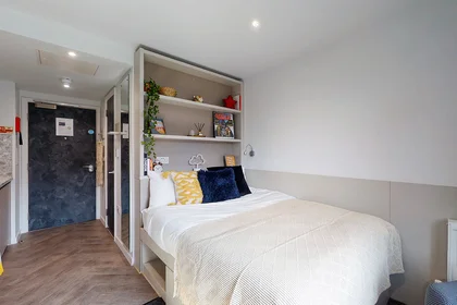 Prywatny pokój Westminster Residence London SE1 7LR, obraz 6 12