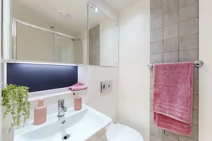 Prywatny pokój Westminster Residence London SE1 7LR, obraz 9 12