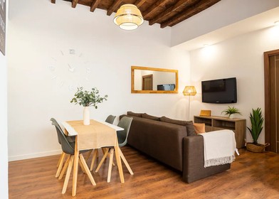 Moderne und helle Wohnung in Malaga