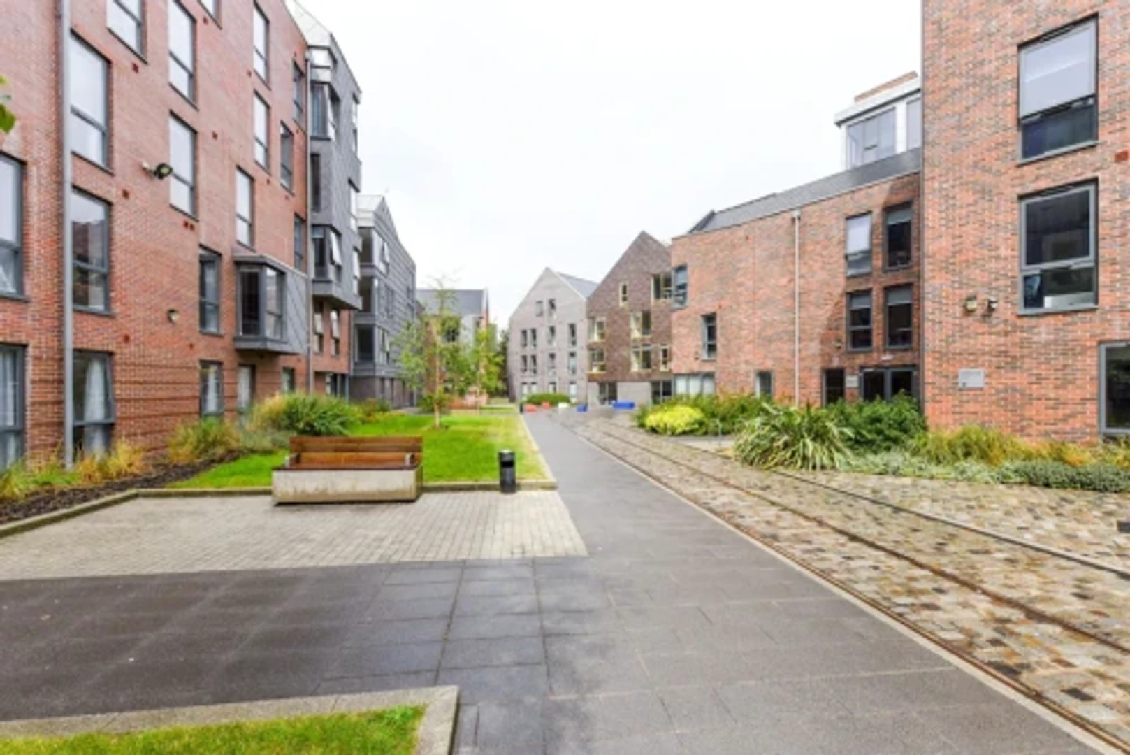 Camera accogliente per studenti disponibile a 