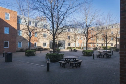 Chambre à louer dans un appartement en colocation à Oxford